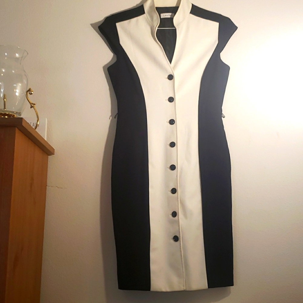 Calvin Klein Colorblock Dress